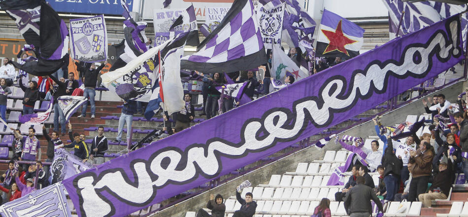 fossa garrafoni ile ilgili görsel sonucu