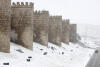 Nieve en Castilla y León en el mes de enero