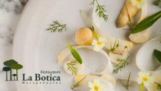 Sabores Estrella Michelin en La Botica de Matapozuelos