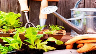 Curso de Huerto Urbano Ecológico