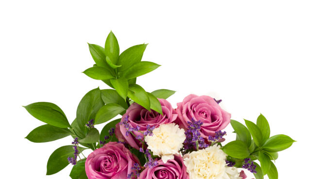 Flores A Domicilio Ramos De Rosas Tallos De Flor O Alstroemerias Descuento 40 23 90 Euro Oferplan